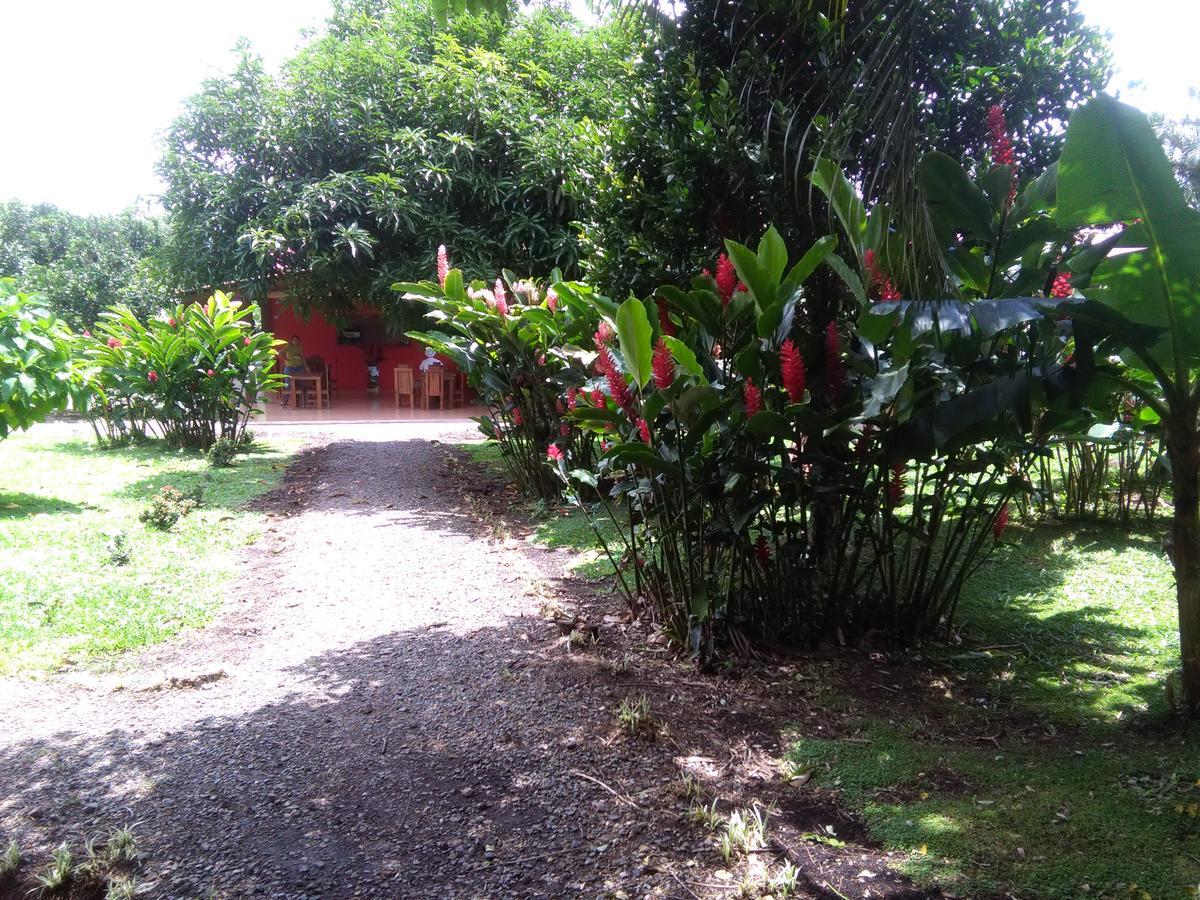 Paraiso Volcano Lodge Guayabo  エクステリア 写真