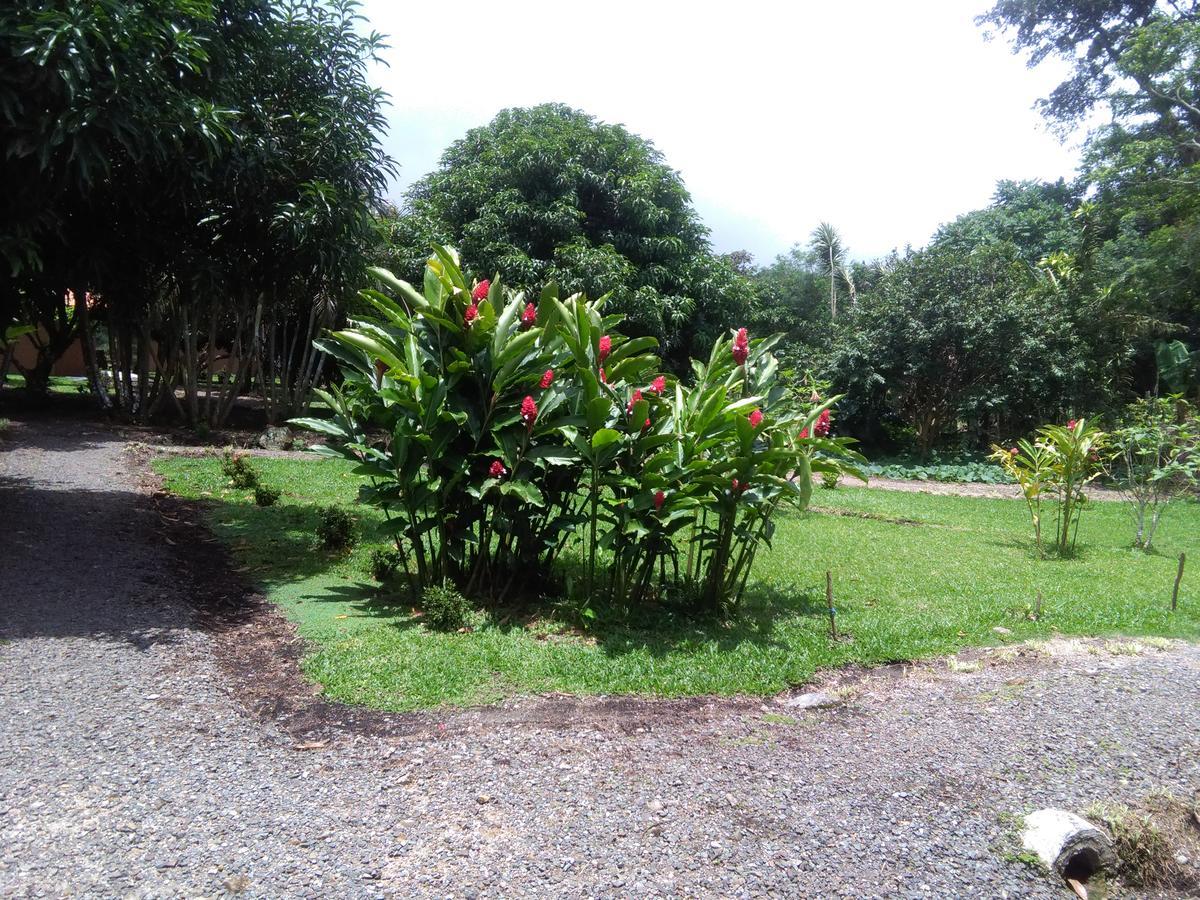 Paraiso Volcano Lodge Guayabo  エクステリア 写真