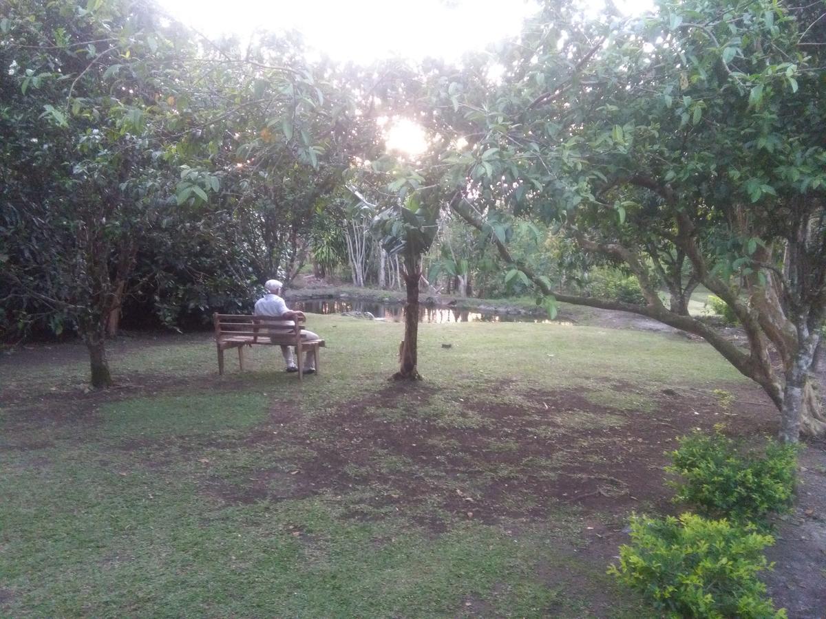Paraiso Volcano Lodge Guayabo  エクステリア 写真