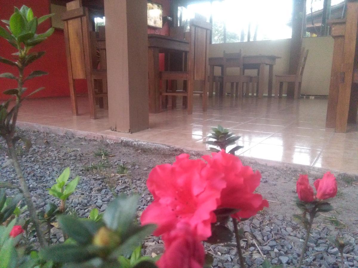 Paraiso Volcano Lodge Guayabo  エクステリア 写真