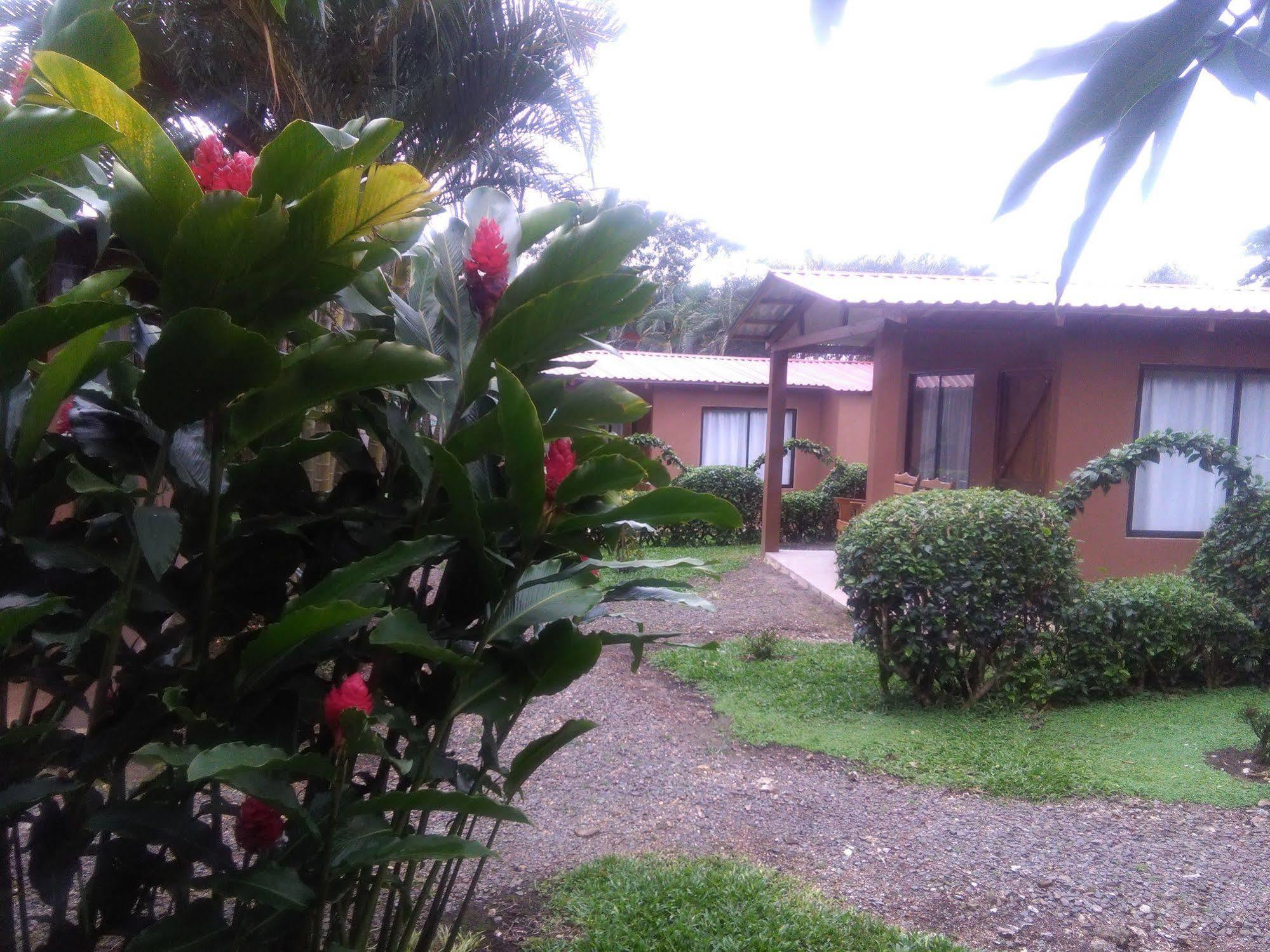 Paraiso Volcano Lodge Guayabo  エクステリア 写真