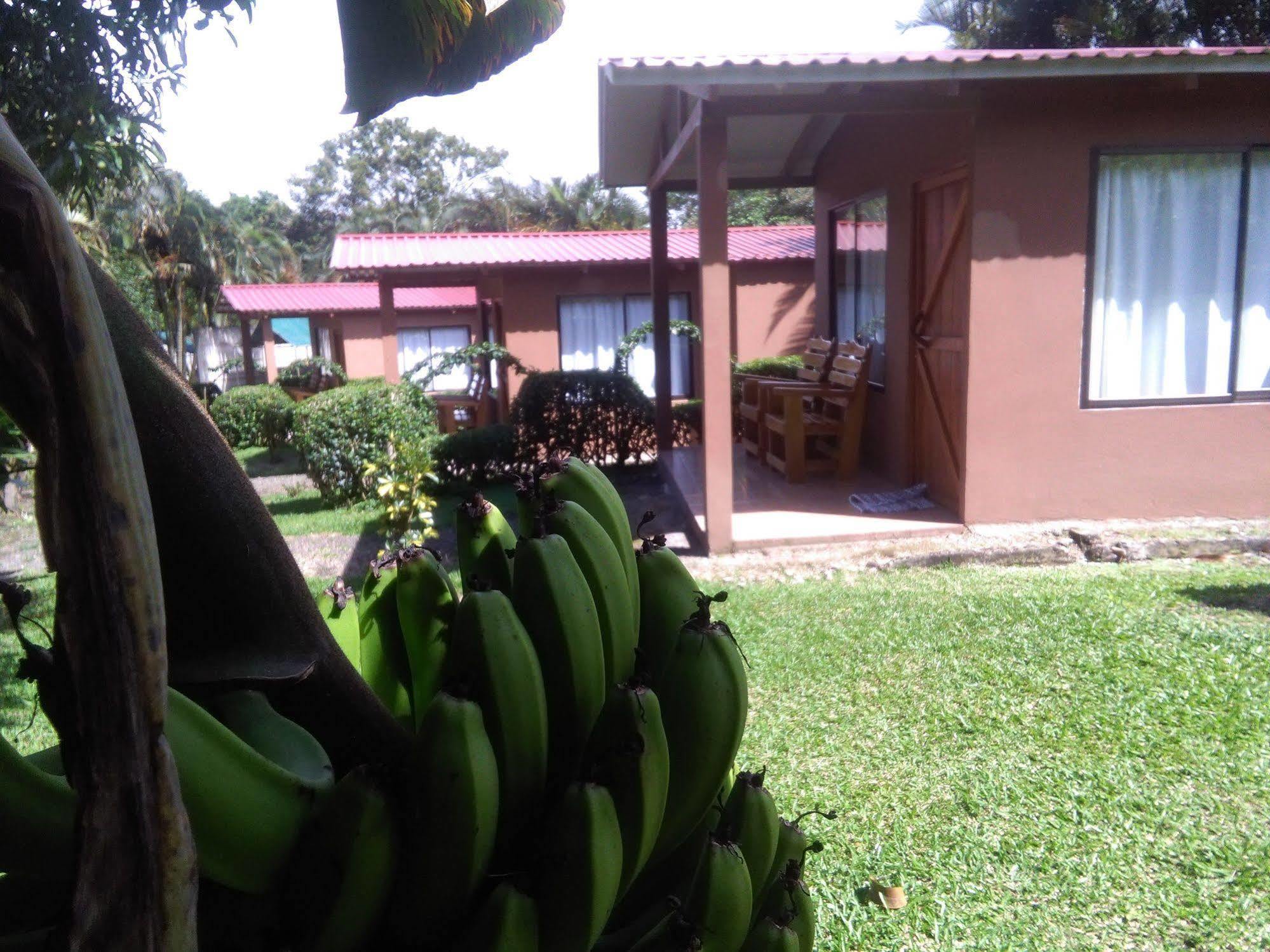Paraiso Volcano Lodge Guayabo  エクステリア 写真
